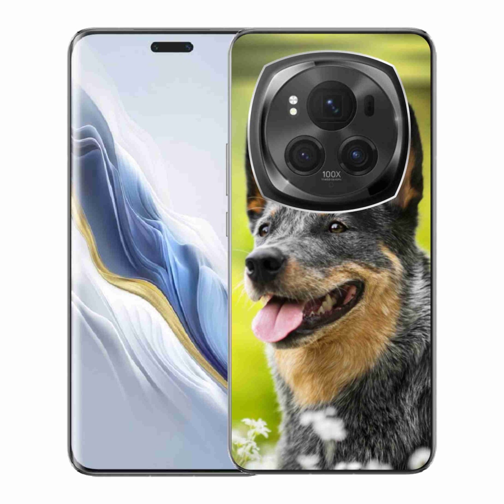 Gelový kryt mmCase na Honor Magic 6 Pro 5G - australský honácký pes