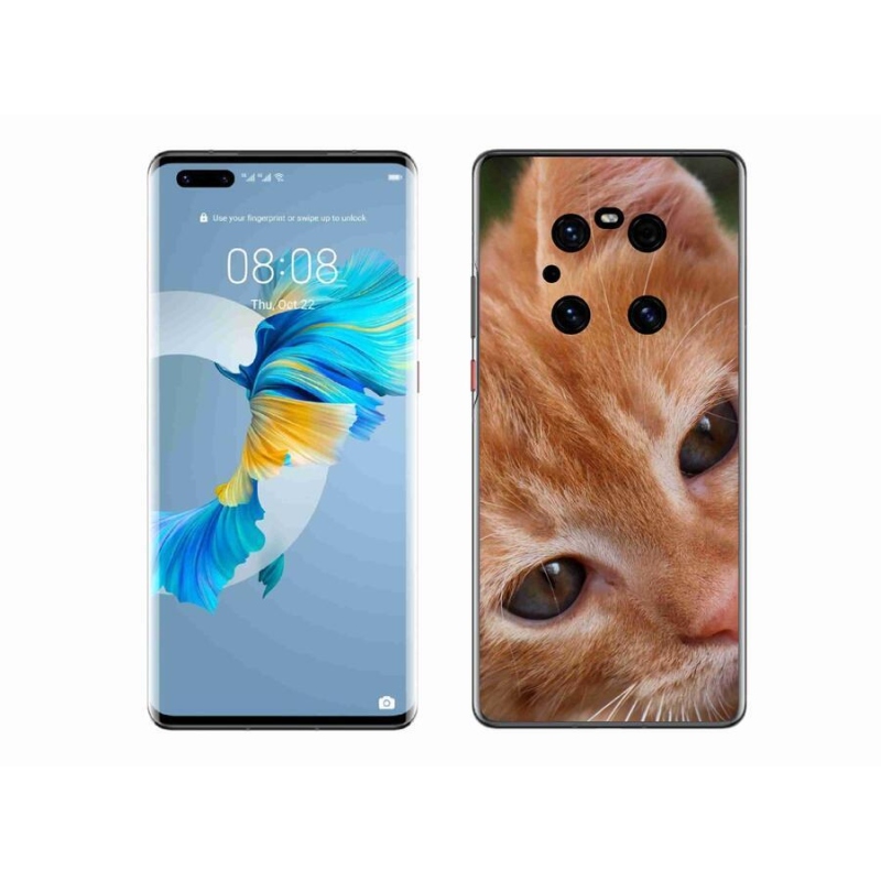 Gelové pouzdro mmCase na mobil Huawei Mate 40 Pro - zrzavé kotě