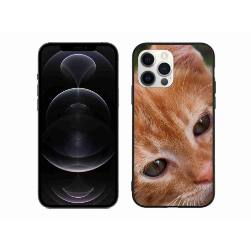 Gelové pouzdro mmCase na mobil iPhone 12 Pro Max - zrzavé kotě