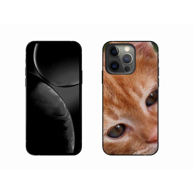 Gelové pouzdro mmCase na mobil iPhone 13 Pro 6.1 - zrzavé kotě