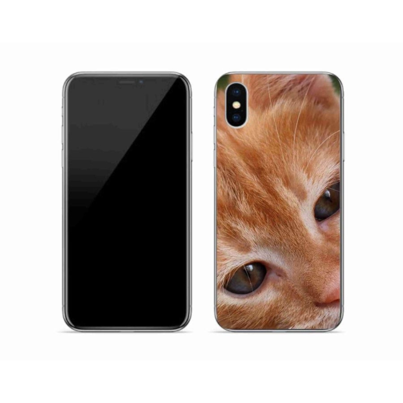 Gelové pouzdro mmCase na mobil iPhone X - zrzavé kotě