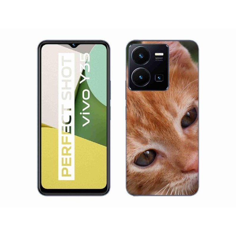 Gelové pouzdro mmCase na mobil Vivo Y35 - zrzavé kotě
