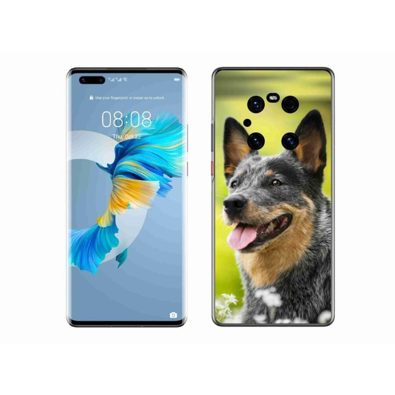 Gelový kryt mmCase na mobil Huawei Mate 40 Pro - australský honácký pes
