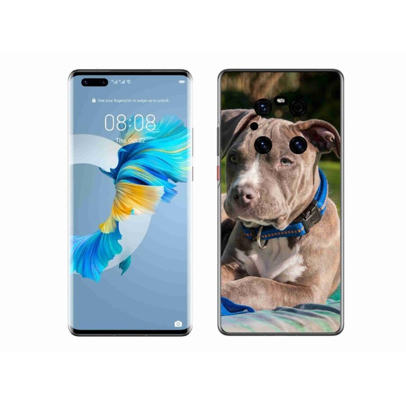 Gelový kryt mmCase na mobil Huawei Mate 40 Pro - pitbull