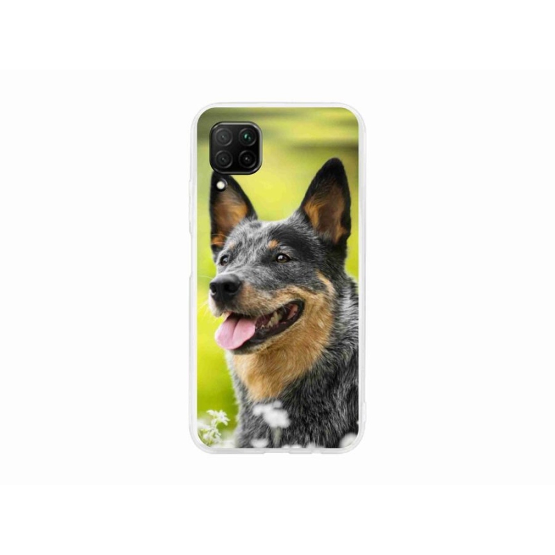 Gelový kryt mmCase na mobil Huawei P40 Lite - australský honácký pes