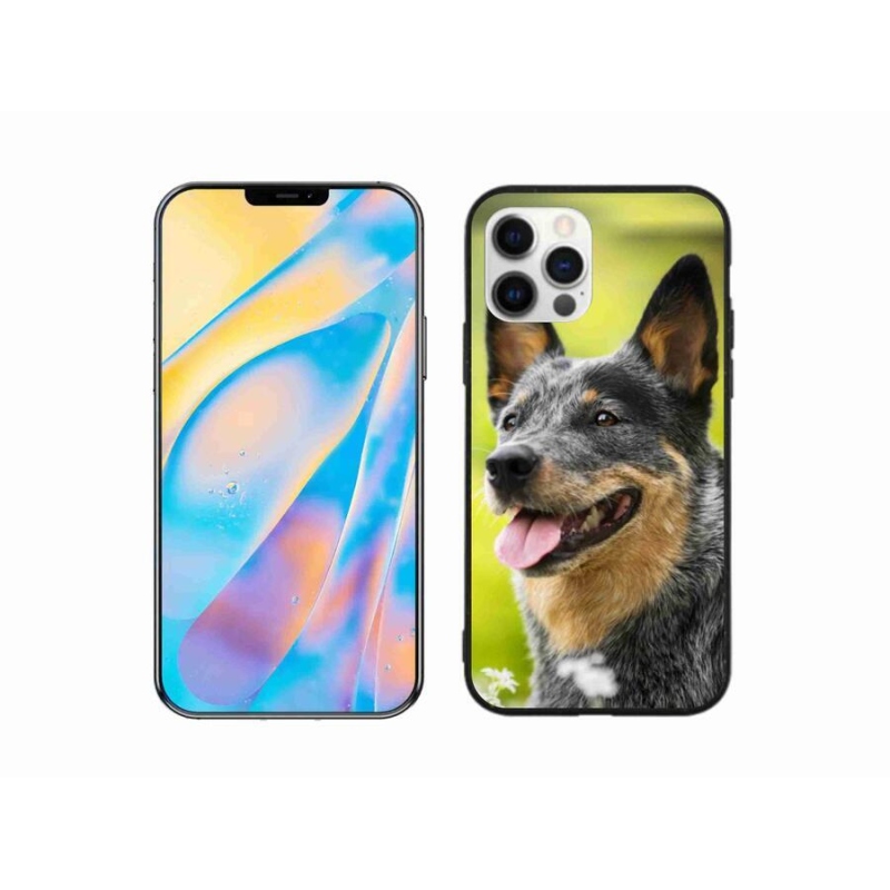 Gelový kryt mmCase na mobil iPhone 12 - australský honácký pes