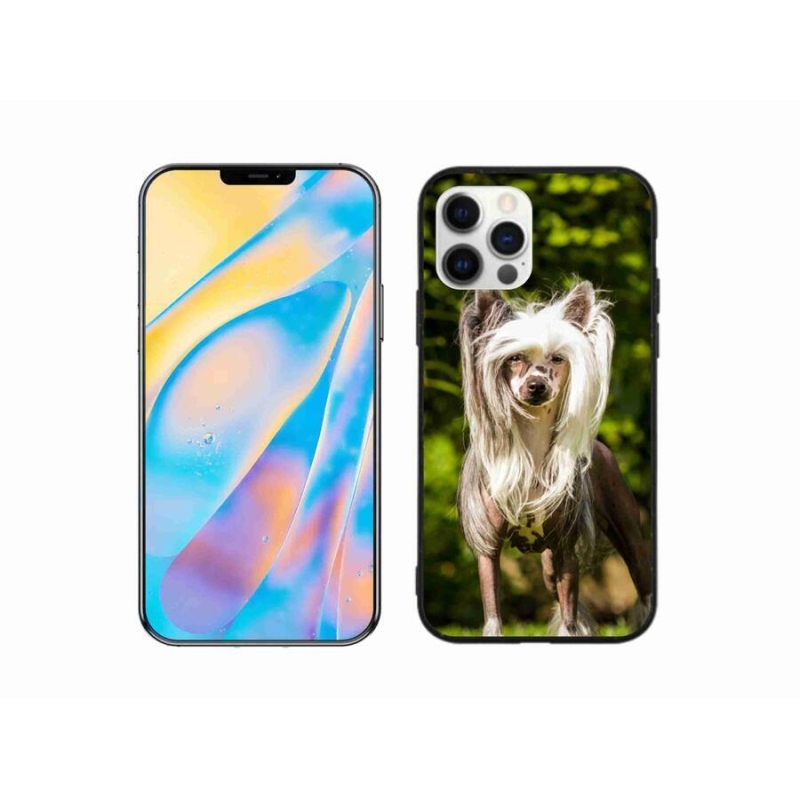 Gelový kryt mmCase na mobil iPhone 12 - čínský chocholatý pes