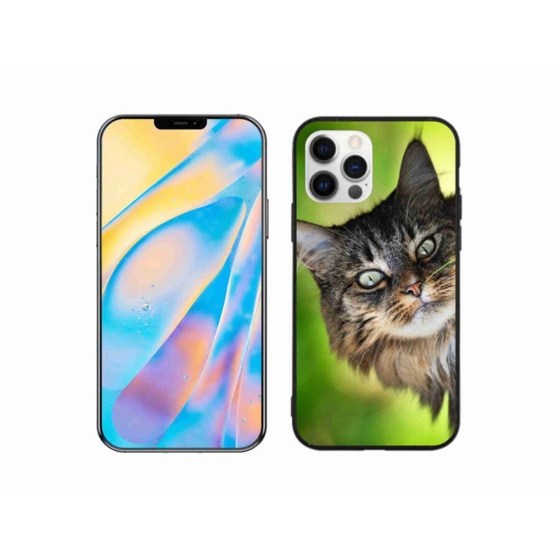 Gelový kryt mmCase na mobil iPhone 12 Pro - kočka 3