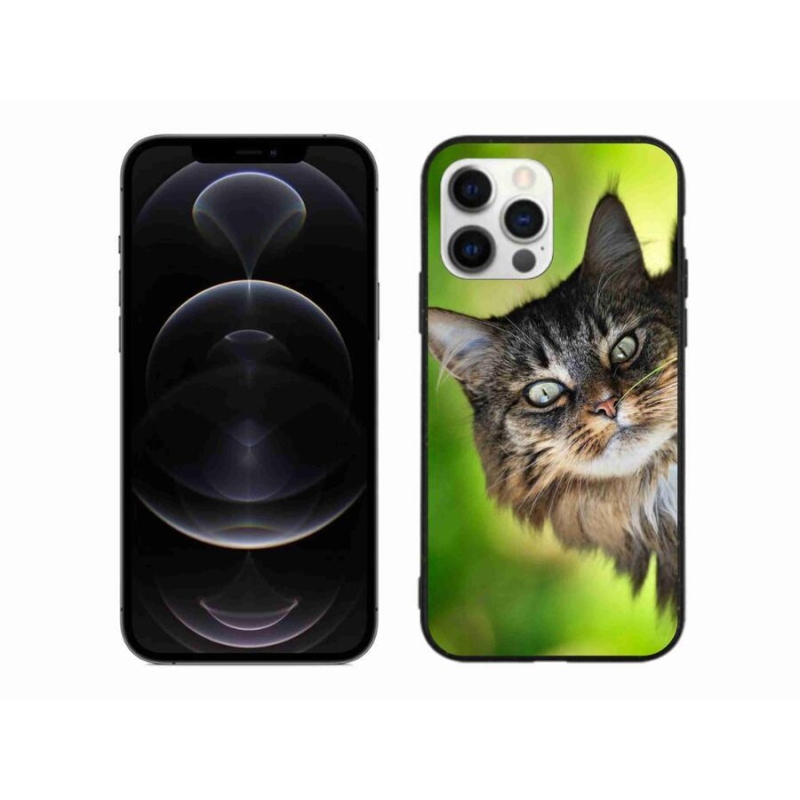Gelový kryt mmCase na mobil iPhone 12 Pro Max - kočka 3
