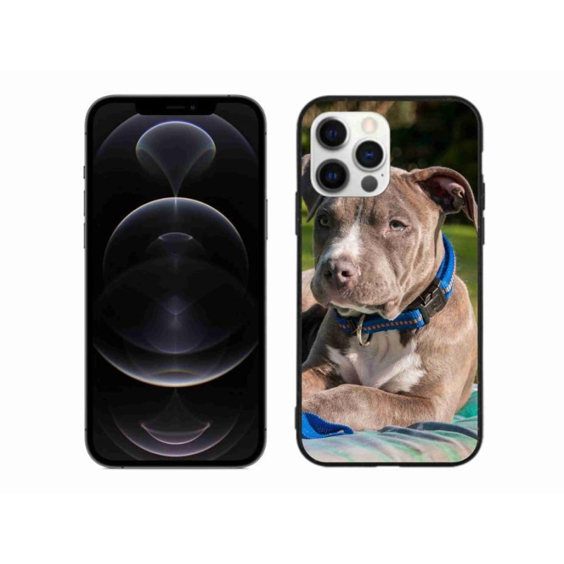 Gelový kryt mmCase na mobil iPhone 12 Pro Max - pitbull