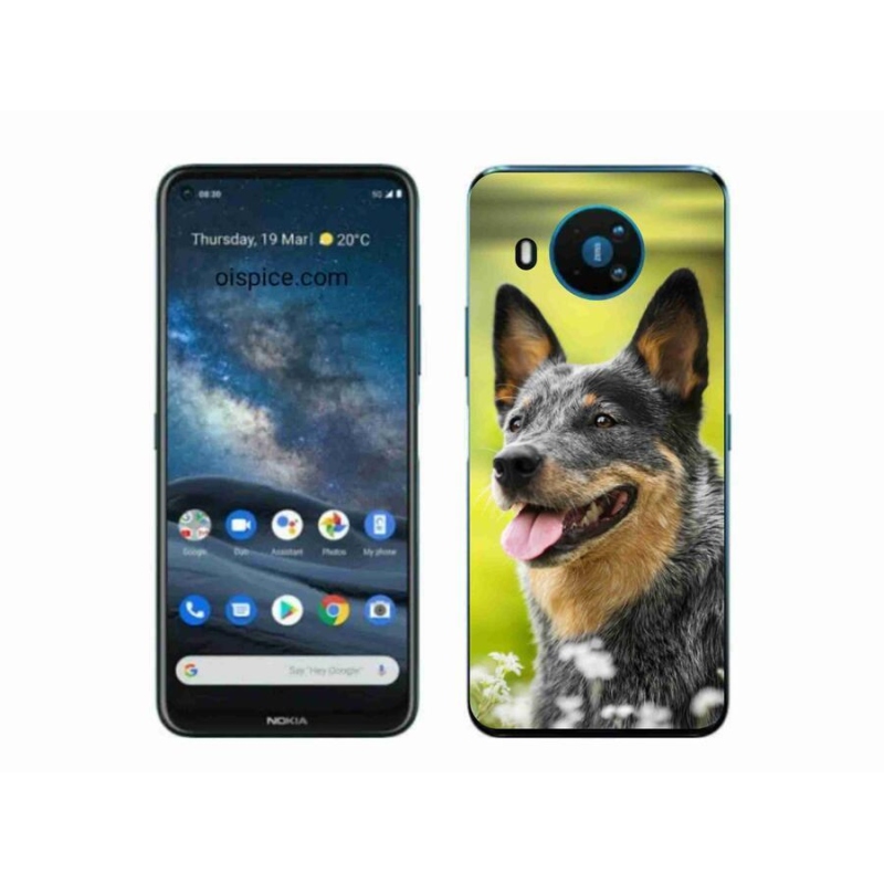 Gelový kryt mmCase na mobil Nokia 8.3 5G - australský honácký pes