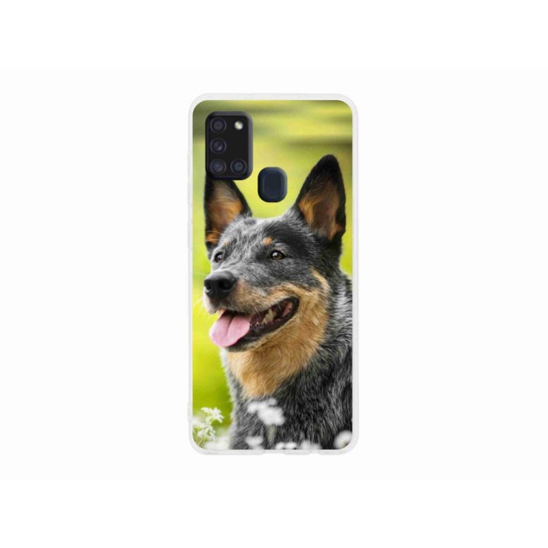 Gelový kryt mmCase na mobil Samsung Galaxy A21s - australský honácký pes