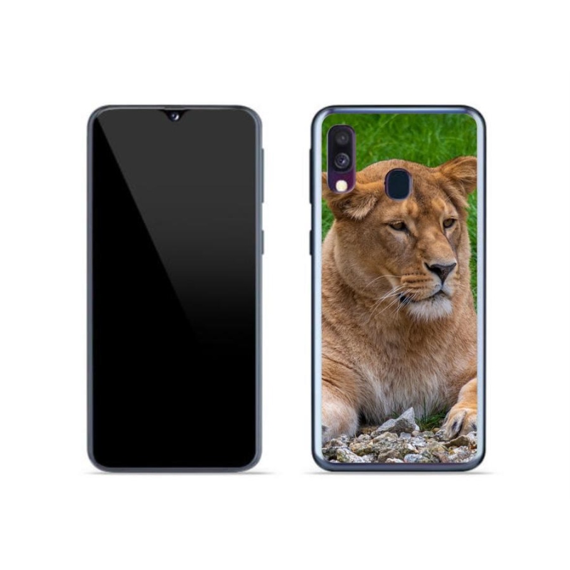 Gelový kryt mmCase na mobil Samsung Galaxy A40 - lvice