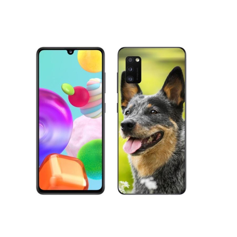 Gelový kryt mmCase na mobil Samsung Galaxy A41 - australský honácký pes
