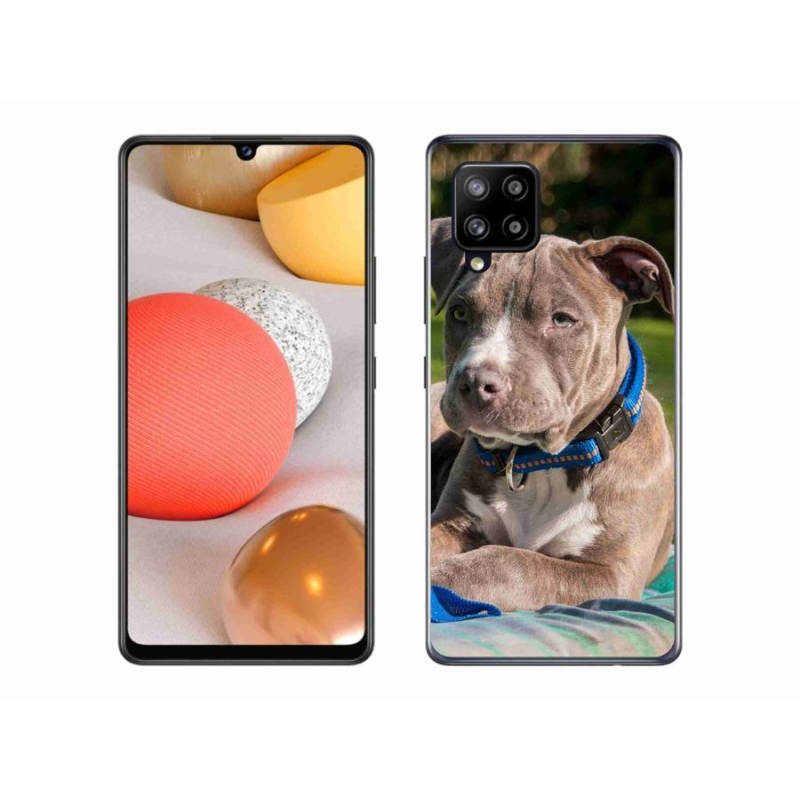 Gelový kryt mmCase na mobil Samsung Galaxy A42 5G - pitbull
