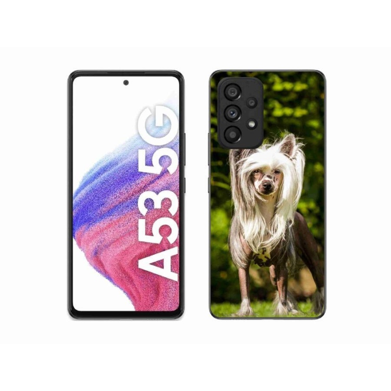 Gelový kryt mmCase na mobil Samsung Galaxy A53 5G - čínský chocholatý pes
