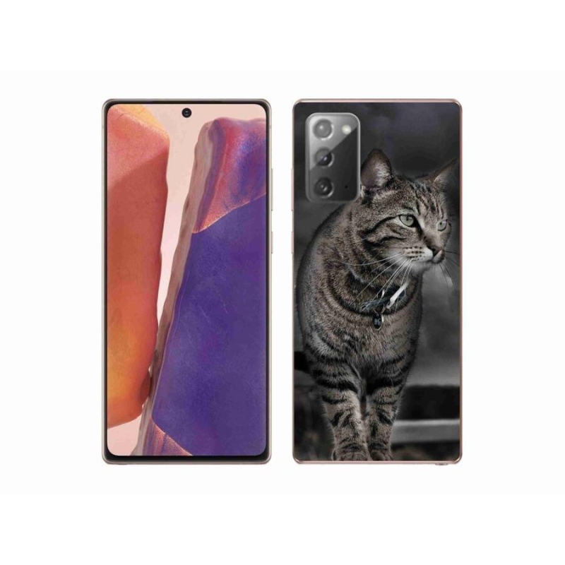 Gelový kryt mmCase na mobil Samsung Galaxy Note 20/Note 20 5G - kočka