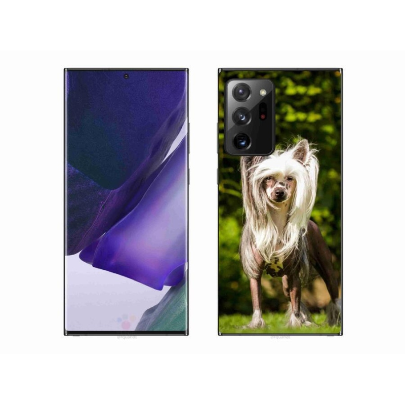 Gelový kryt mmCase na mobil Samsung Galaxy Note 20 Ultra - čínský chocholatý pes