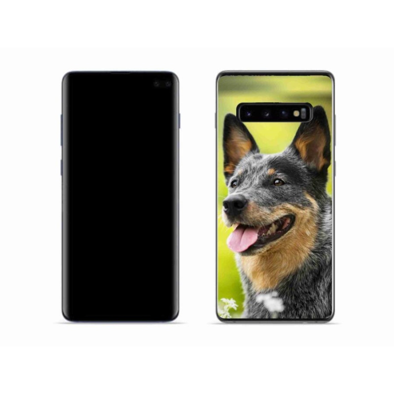 Gelový kryt mmCase na mobil Samsung Galaxy S10 - australský honácký pes