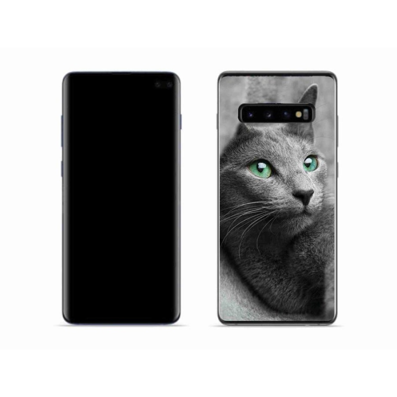 Gelový kryt mmCase na mobil Samsung Galaxy S10 - kočka 2