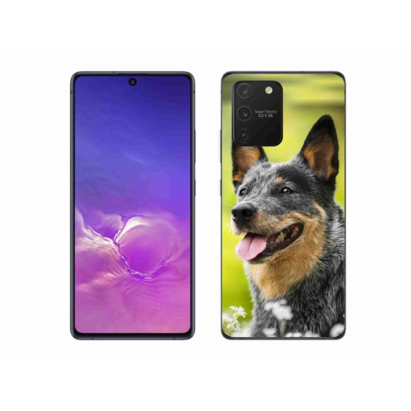 Gelový kryt mmCase na mobil Samsung Galaxy S10 Lite - australský honácký pes