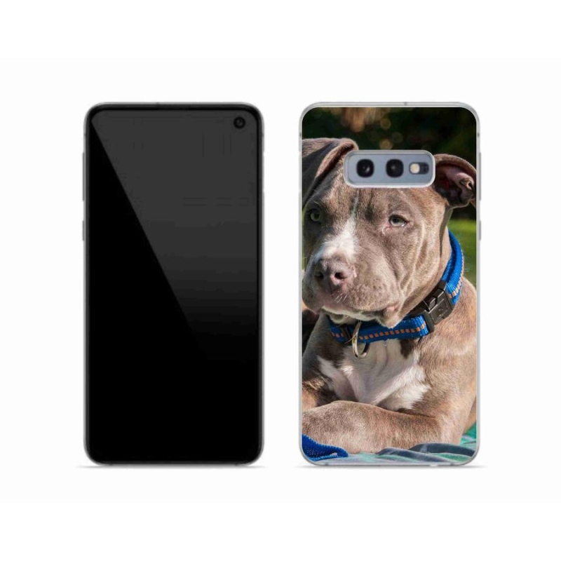 Gelový kryt mmCase na mobil Samsung Galaxy S10e - pitbull