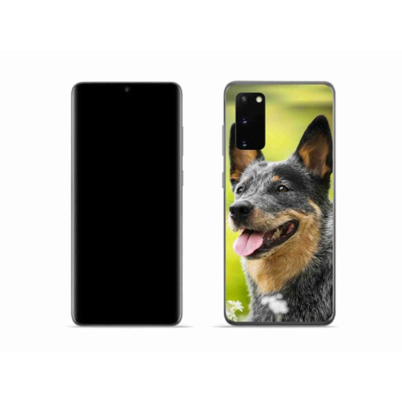 Gelový kryt mmCase na mobil Samsung Galaxy S20 - australský honácký pes