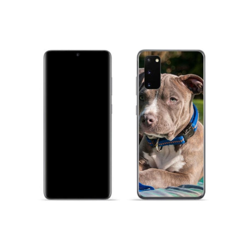 Gelový kryt mmCase na mobil Samsung Galaxy S20 - pitbull