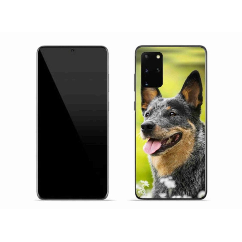 Gelový kryt mmCase na mobil Samsung Galaxy S20 Plus - australský honácký pes