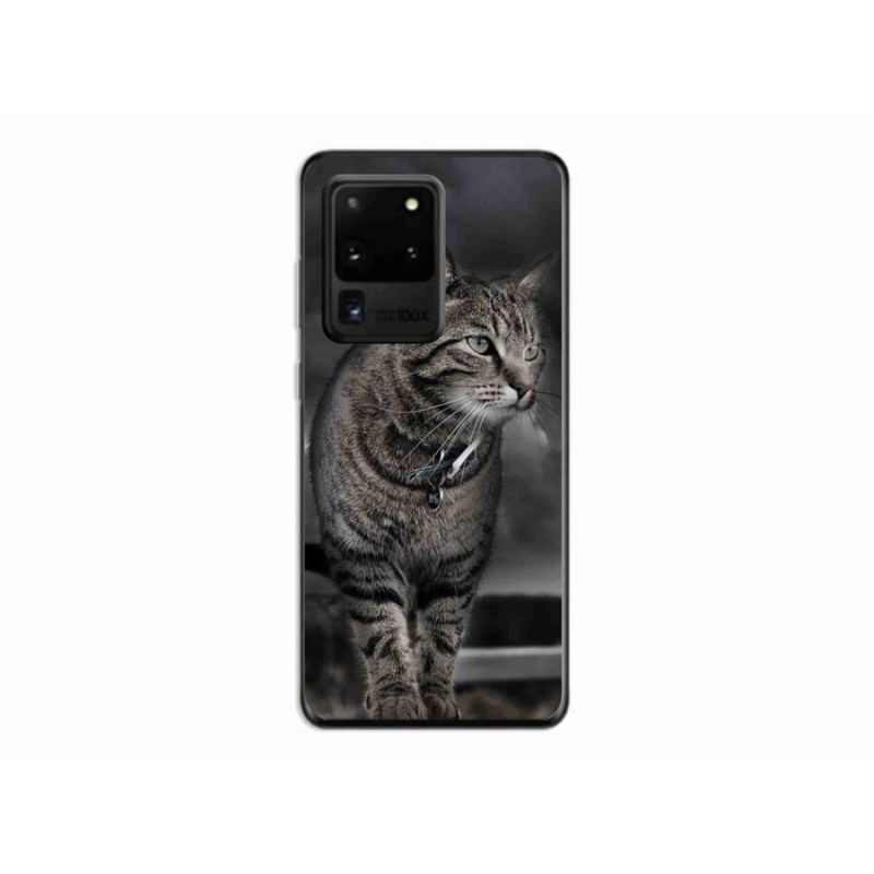 Gelový kryt mmCase na mobil Samsung Galaxy S20 Ultra - kočka