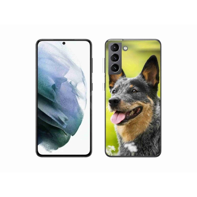 Gelový kryt mmCase na mobil Samsung Galaxy S21 - australský honácký pes