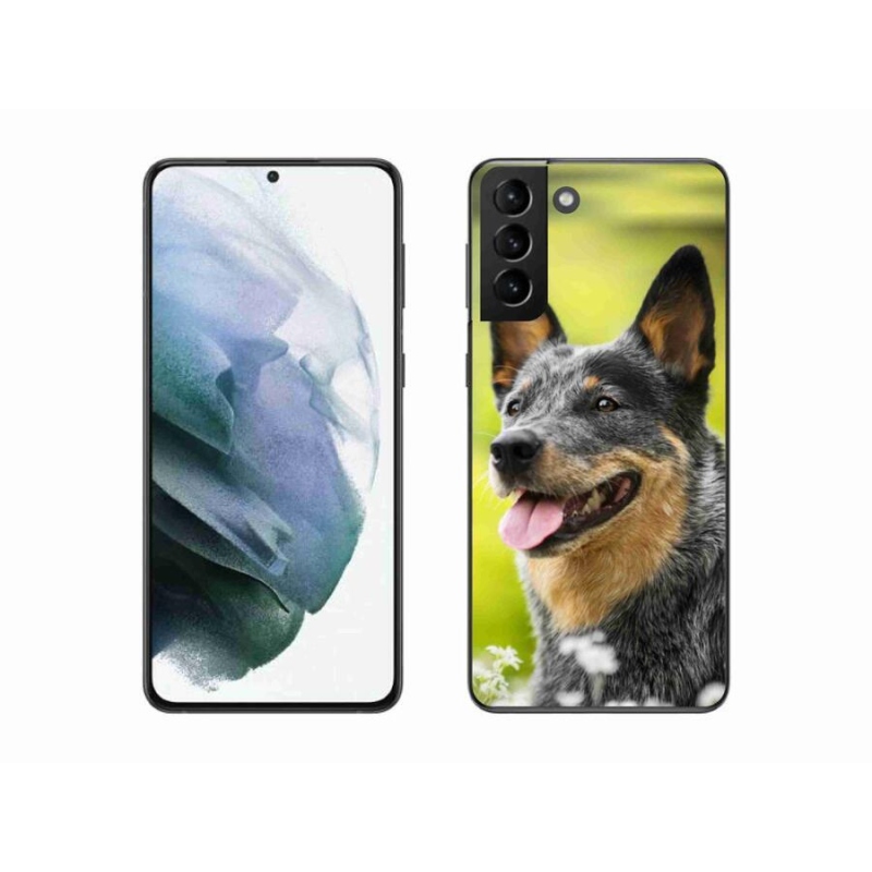 Gelový kryt mmCase na mobil Samsung Galaxy S21 Plus - australský honácký pes