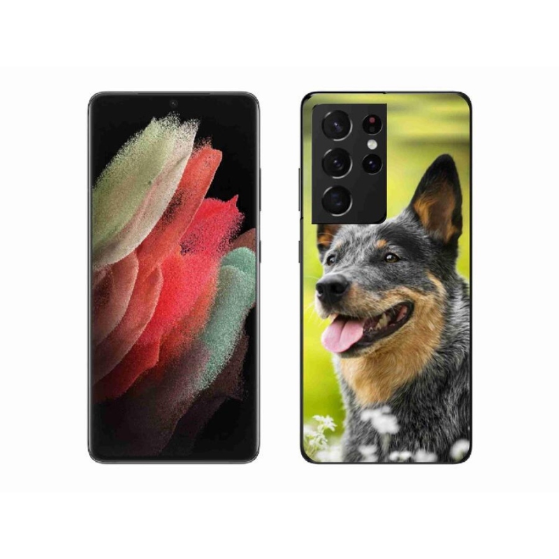 Gelový kryt mmCase na mobil Samsung Galaxy S21 Ultra 5G - australský honácký pes