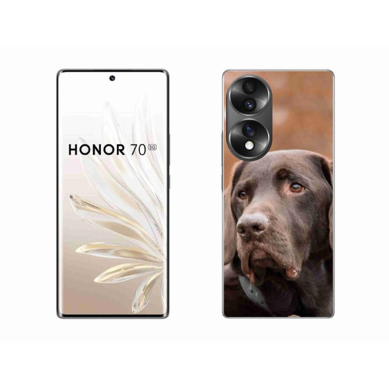 Gelový obal mmCase na mobil Honor 70 - hnědý labrador