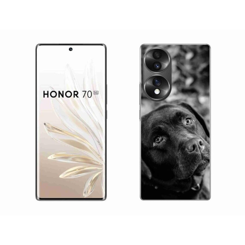 Gelový obal mmCase na mobil Honor 70 - labrador