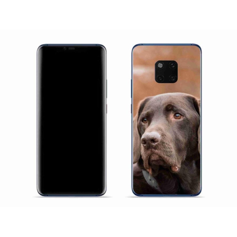 Gelový obal mmCase na mobil Huawei Mate 20 Pro - hnědý labrador