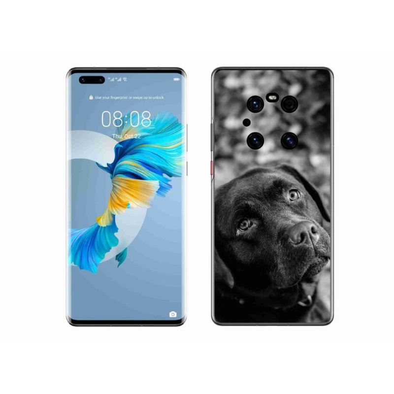 Gelový obal mmCase na mobil Huawei Mate 40 Pro - labrador