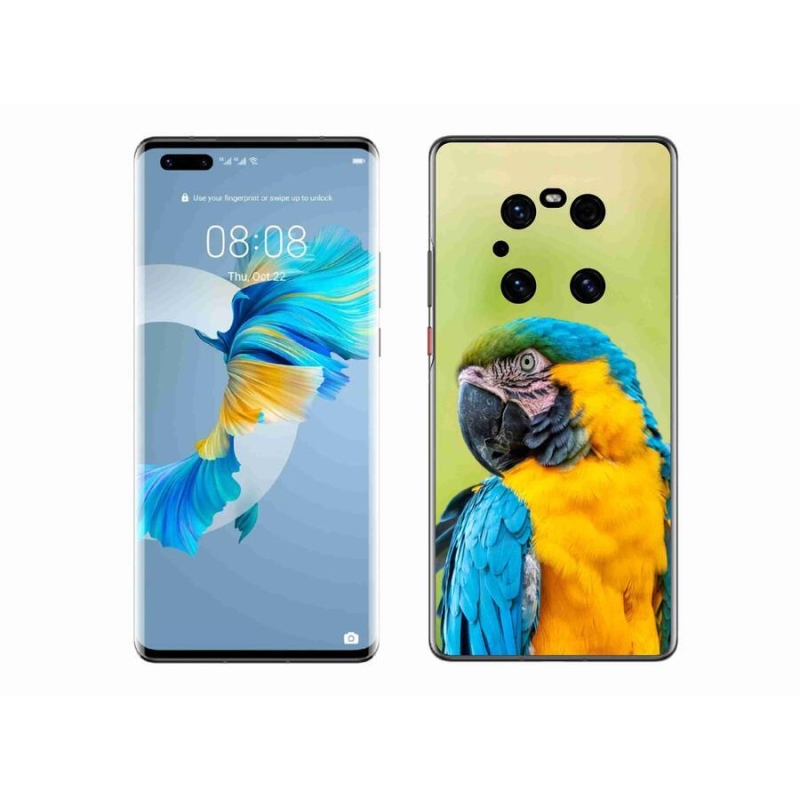 Gelový obal mmCase na mobil Huawei Mate 40 Pro - papoušek ara 2