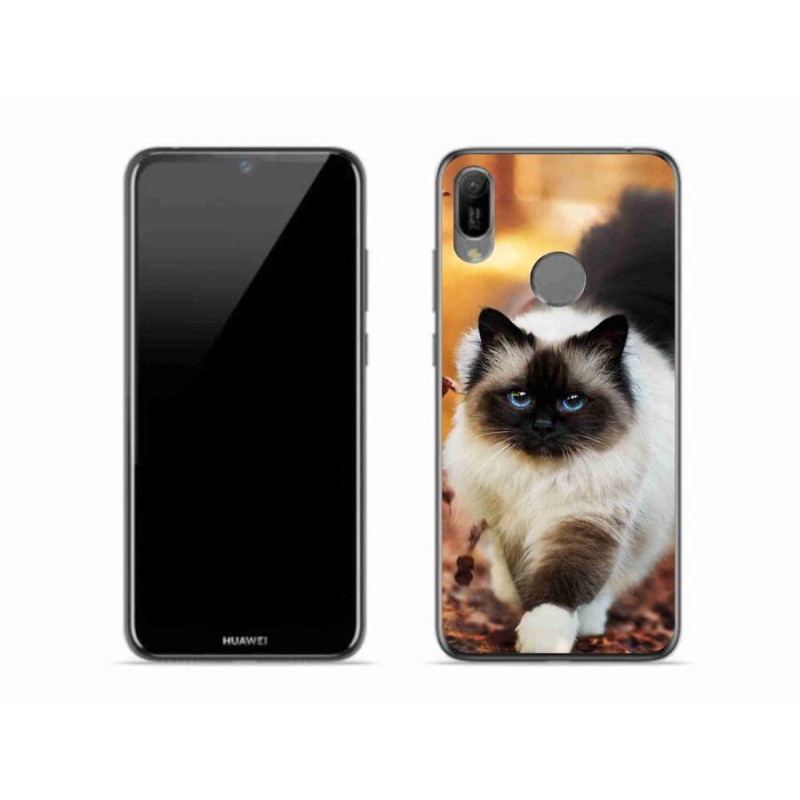Gelový obal mmCase na mobil Huawei Y6 (2019) - kočka 1