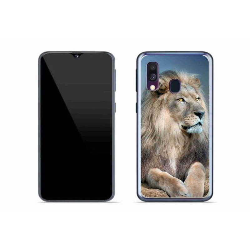 Gelový obal mmCase na mobil Samsung Galaxy A40 - lev 1