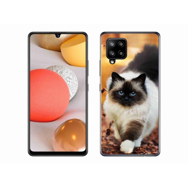 Gelový obal mmCase na mobil Samsung Galaxy A42 5G - kočka 1