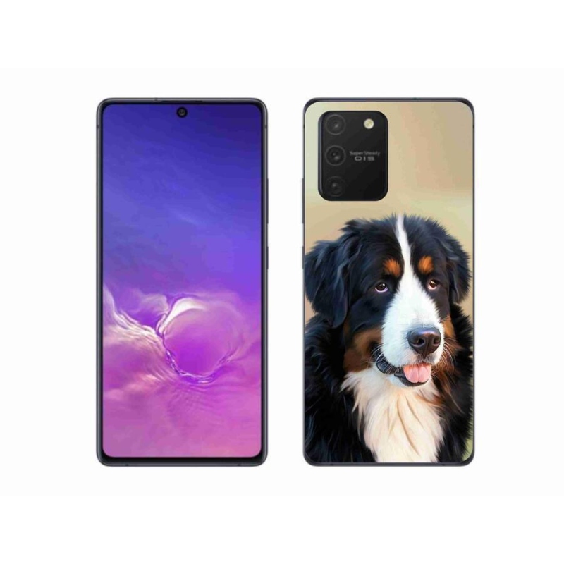 Gelový obal mmCase na mobil Samsung Galaxy S10 Lite - bernský salašnický pes