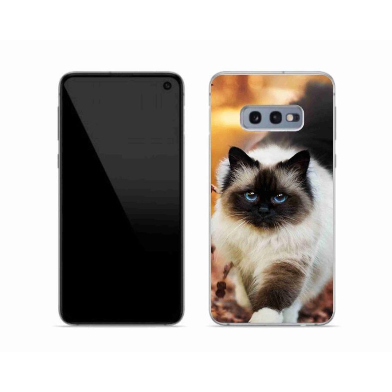 Gelový obal mmCase na mobil Samsung Galaxy S10e - kočka 1