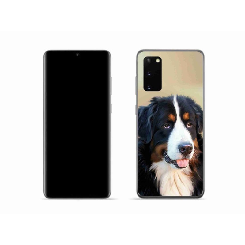 Gelový obal mmCase na mobil Samsung Galaxy S20 - bernský salašnický pes