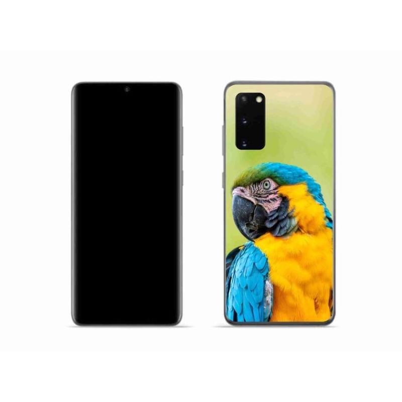 Gelový obal mmCase na mobil Samsung Galaxy S20 - papoušek ara 2