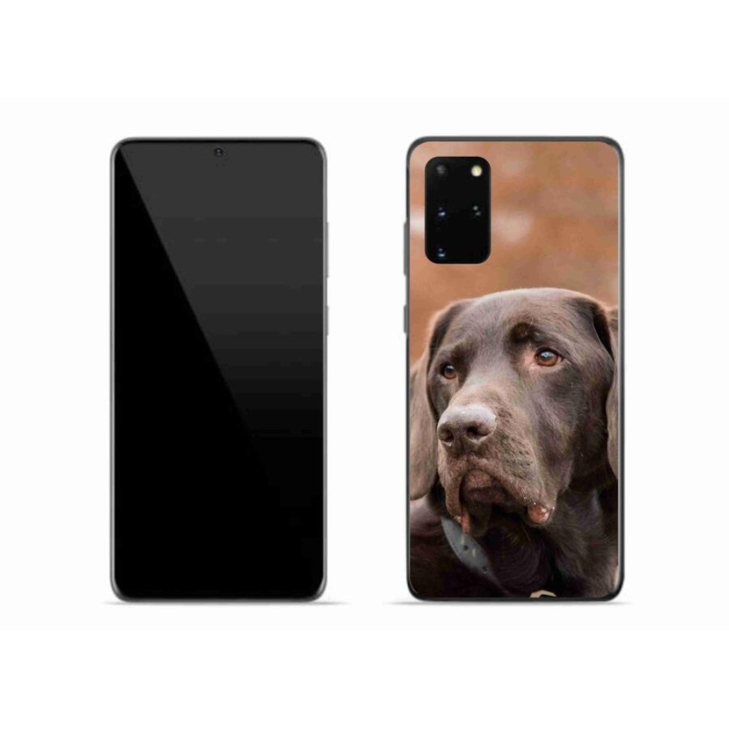 Gelový obal mmCase na mobil Samsung Galaxy S20 Plus - hnědý labrador