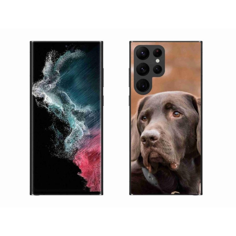 Gelový obal mmCase na mobil Samsung Galaxy S22 Ultra 5G - hnědý labrador