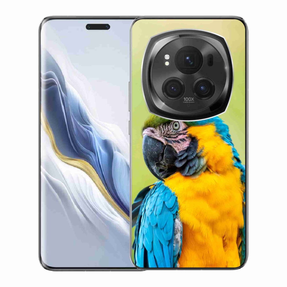 Gelový obal mmCase na Honor Magic 6 Pro 5G - papoušek ara 2