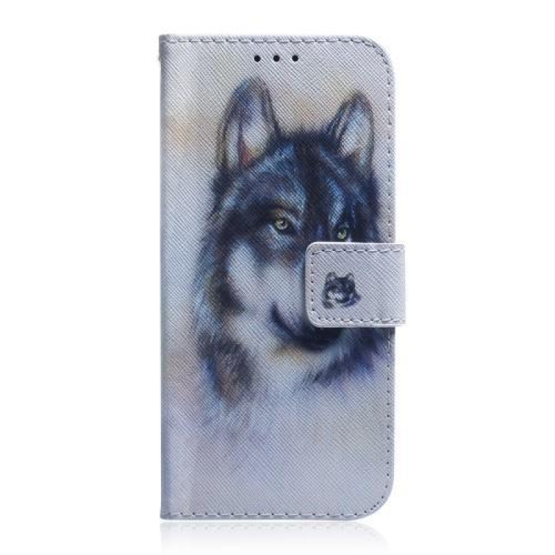 Pattern PU kožené peněženkové pouzdro na mobil Samsung Galaxy A30 / A20 - černý vlk